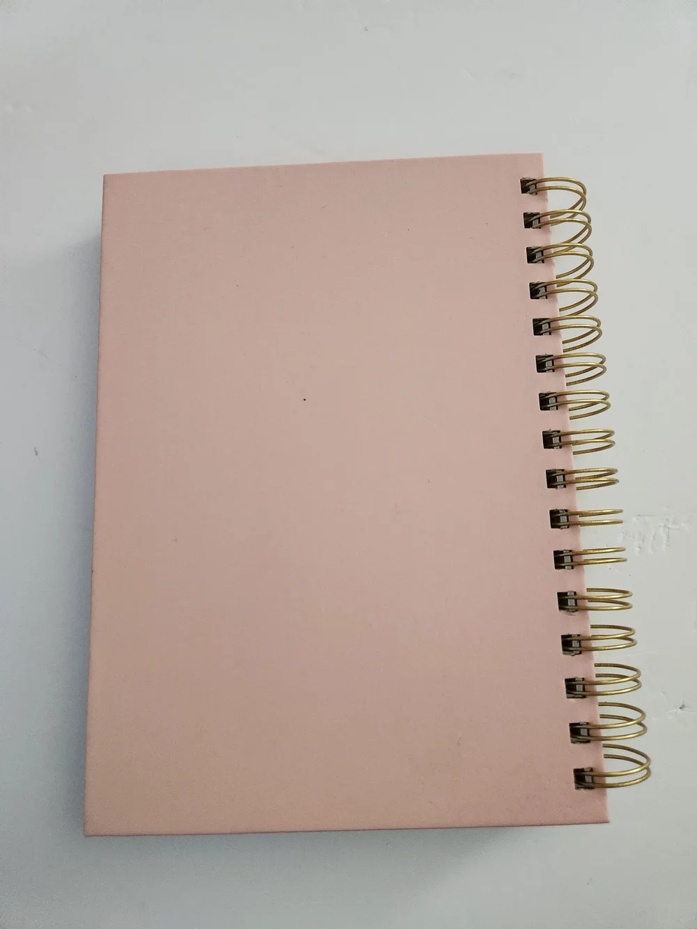 Pink Strawberry Floral Spiral Notebook - Notes